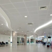 Ploča Knauf Bioguard Plain Board